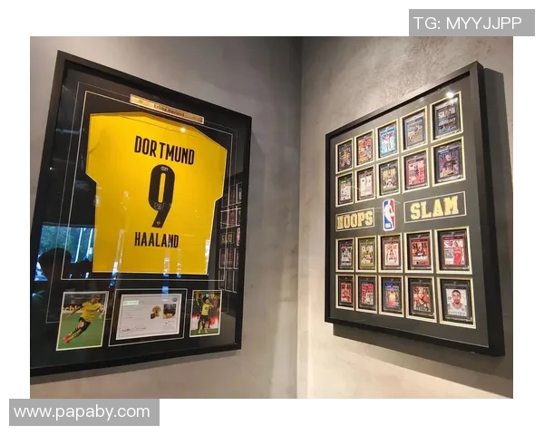 足球球星卡展示架使用指南如何完美展示你的收藏品提升收藏体验 足球球星卡展示架使用指南如何完美展示你的收藏品提升收藏体验